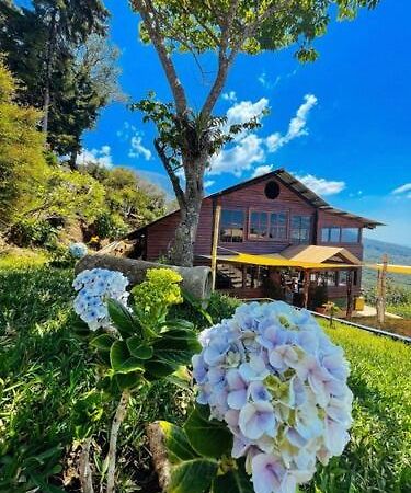 Casa 1800 Los Naranjos Boutique Hotel Εξωτερικό φωτογραφία