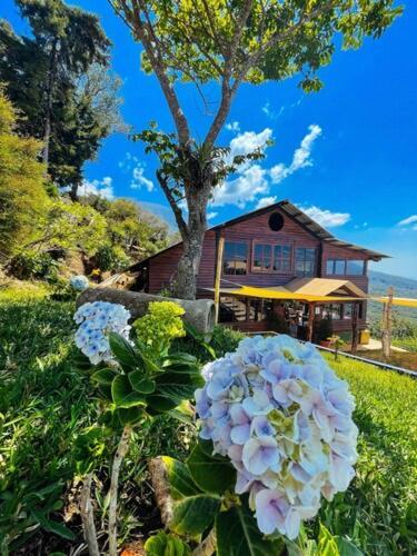 Casa 1800 Los Naranjos Boutique Hotel Εξωτερικό φωτογραφία